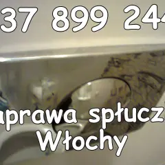 Potrzebujesz naprawa spłuczki podtynkowej? Zadzwoń pod numer 737 899 244. Szybka pomoc w Włoszech.