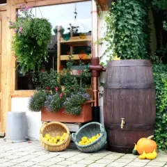 Drewniana beczka na deszczówkę, obok kosze z jabłkami i dynie. Ekologiczne rozwiązania, jak dofinansowanie do deszczówki, wspierają naturę.