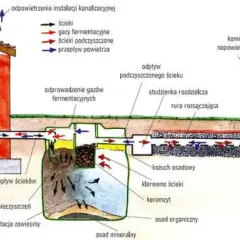 Schemat pokazuje, jak działa przydomowa oczyszczalnia ścieków: dopływ, sedymentacja, fermentacja, rozsączanie i odprowadzenie oczyszczonej wody.