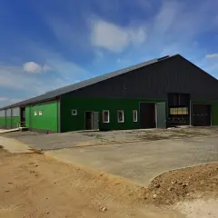 Nowy, zielono-szary budynek gospodarczy, idealny jako projekt obory na 20 krów. Gotowy na przyjęcie zwierząt.